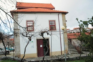 Cogumelos silvestres para tratar o cancro