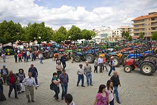 Concurso de gado mobiliza criadores