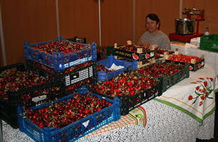 Cereja de Alfândega a caminho da Suiça