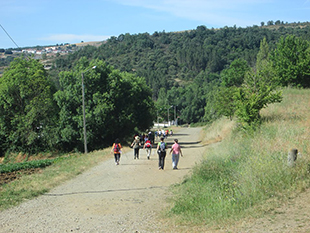 Caminhada Solidária