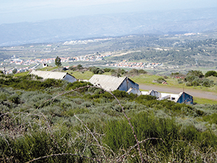 Indianos da Zamin interessados nas minas de ferro