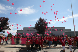 Psico-oncologia ajuda a combater doença