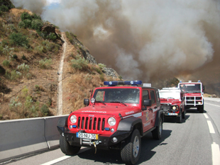 Incêndio destruiu mais de 15 mil hectares