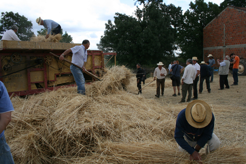 Malha à moda antiga recriada em Palácios