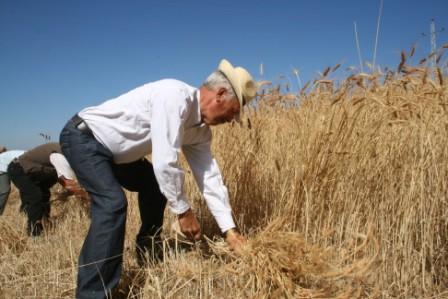 Segada na Lombada inspira grupo de teatro para peça sobre Graça Morais