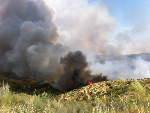 Incêndio já destruiu armazéns agrícolas, culturas e matou animais