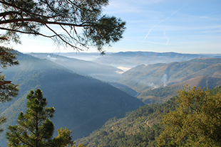 Parque Natural avança no Vale do Tua