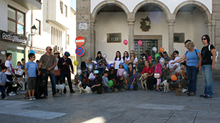 “Cãominhada” assinala Dia do Animal
