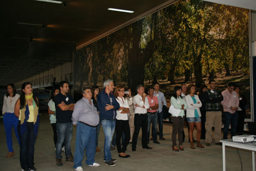 Empresas melhoram actividade