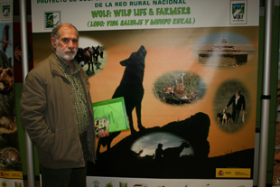 O lobo afinal não é mau