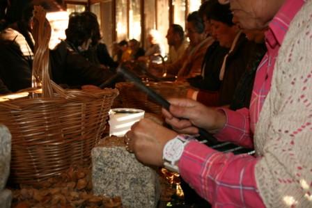 Torre de Moncorvo recria partidela da amêndoa