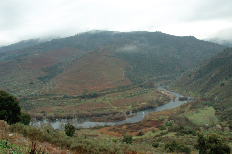 EDP vai investir na requalificação dos monumentos do Vale do Tua