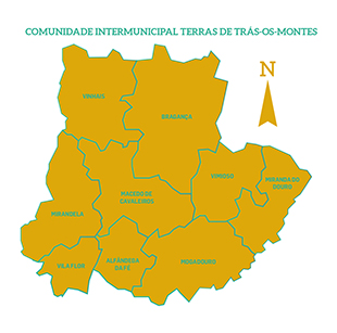 Autarquias estudam atendimento digital