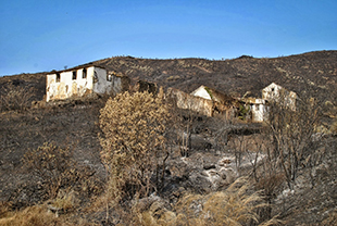 18 candidaturas para intervenções de emergência