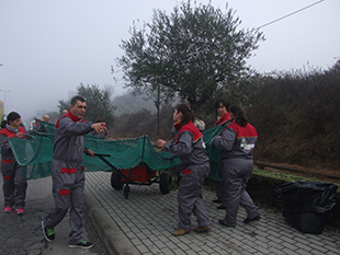Equipamento inovador para apanhar azeitona