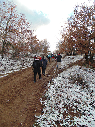 Óleo usado em sabão artesanal