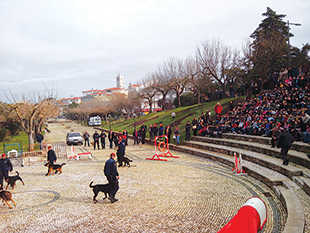 Esquadra da PSP de Mirandela comemora 64 anos