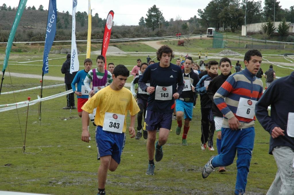 Corta-Mato Distrital do Desporto Escolar apura atletas para o nacional