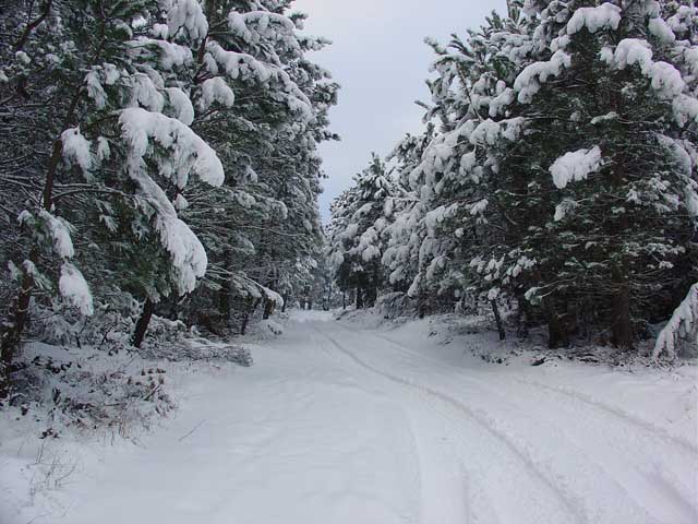 Meios da Protecção Civil vão manter-se de prevenção