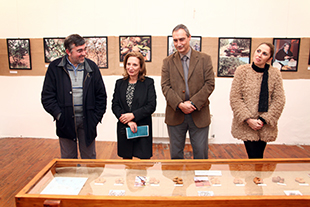 Museu do Ferro retrata o ciclo da amêndoa