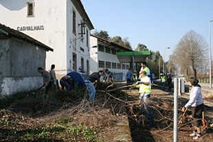 40 milhões para o regresso do comboio