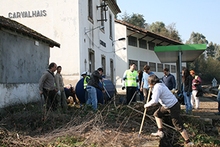 40 milhões para o regresso do comboio