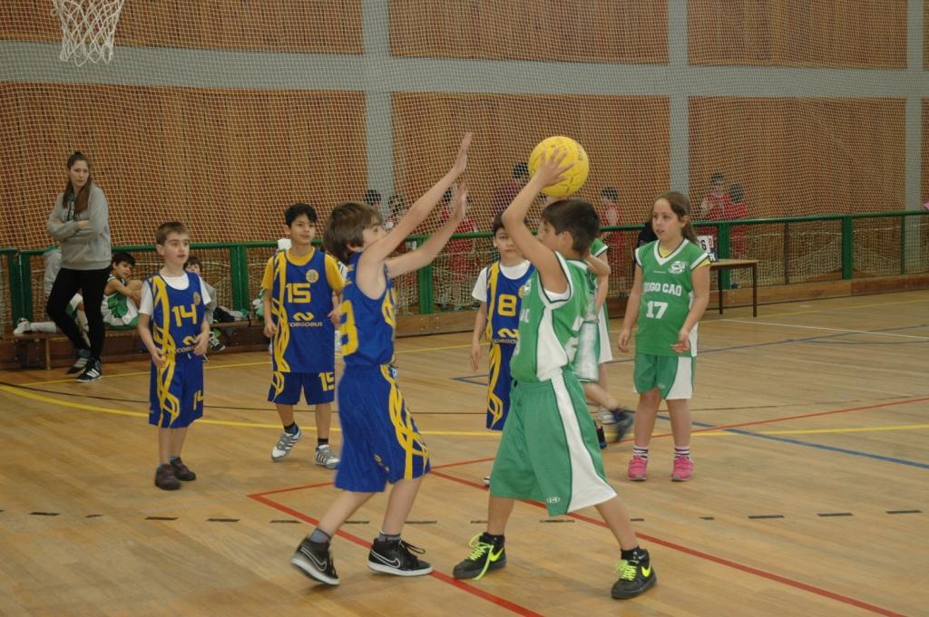 Minibasquetebol reúne perto de uma centena de atletas
