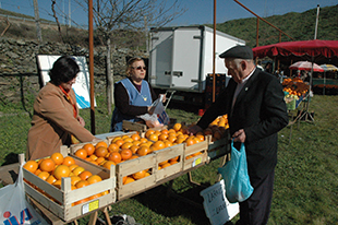 Os milagres de S. Lázaro