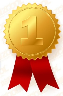 Alunos de Mirandela conquistam medalhas nas Olimpíadas da Matemática