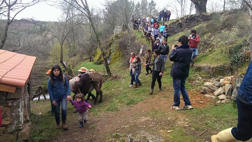 Moinho de Tuizelo volta a moer