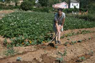 Regadio ampliado em Rabal
