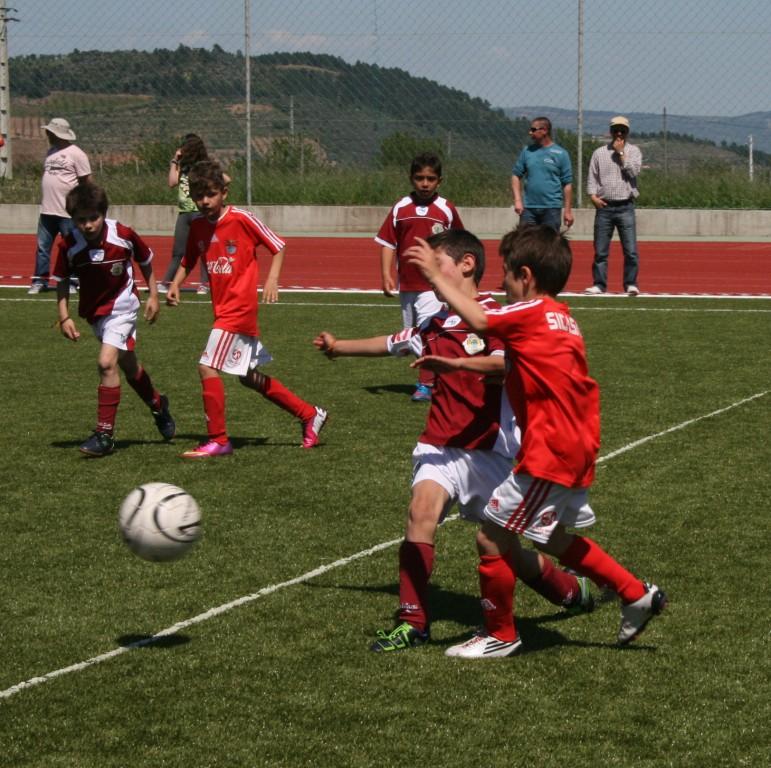 Mais de 250 crianças em Vila Flor