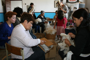 Lã valorizada no Planalto Mirandês