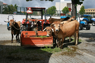 Mostra agrada aos agricultores