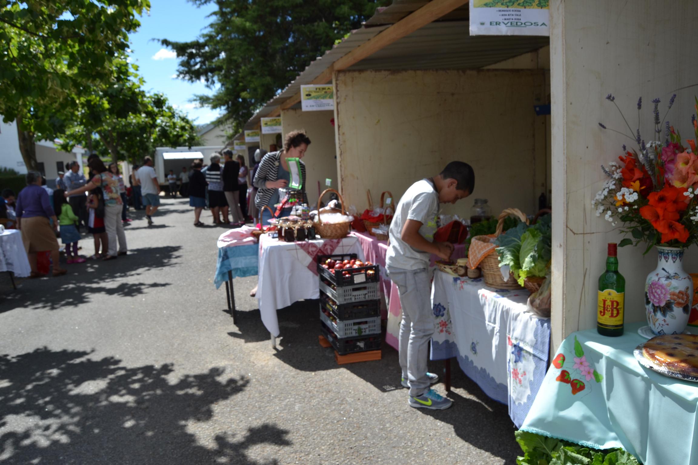 XVI Feira dos Produtos da Terra de Ervedosa proporciona dia de convívio a dezenas de participantes