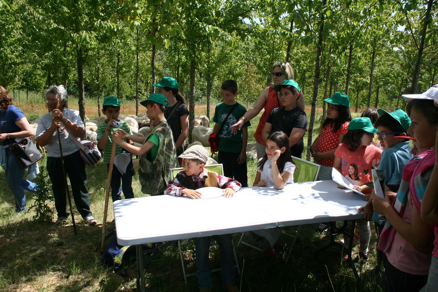 Histórias com “lobo mau” fazem parte do passado