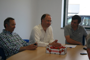 Agrupamento para promover morangos