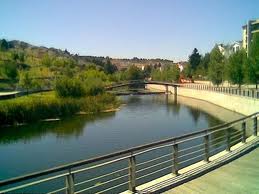 Meia centena de pessoas arregaçaram as mangas para limpar o rio Fervença