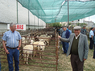 Estrada com ligação ao rio Sabor aproxima Coelhoso do concelho de Vimioso