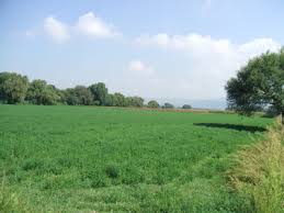 Bloco de Esquerda critica alteração à lei dos baldios