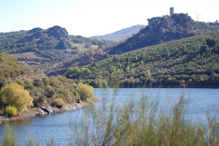 Homem desaparecido desde o dia 30 de Julho encontrado morto