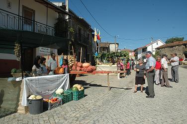 Feira das Cebolas duplica número de expositores