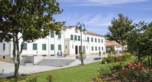 “Mercado de Verão” traz conceito inovador para Macedo de Cavaleiros