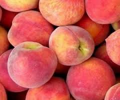 Produtores do Vale da Vilariça organizam-se para ganhar escala