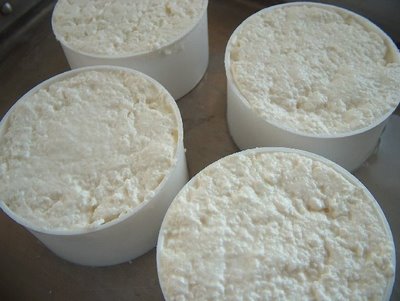 Queijo da LEICRAS já pode ser vendido