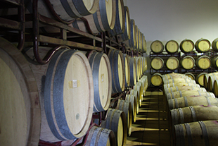 Vinhos de excelência na Foz do Sabor