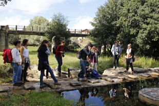 Festival dá vida a Serapicos e S. Joanico