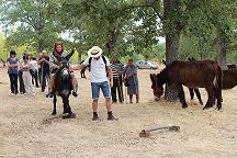 Burro Mirandês em destaque na Festa de Nossa Senhora do Naso
