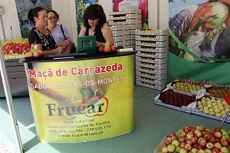 Presidente de Carrazeda de Ansiães pede mais apoios para o sector agrícola