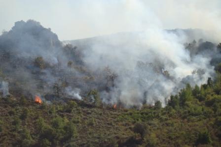 Bragança entre os distritos com mais área ardida